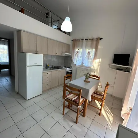Apartments 4 You Paliouri Room photo